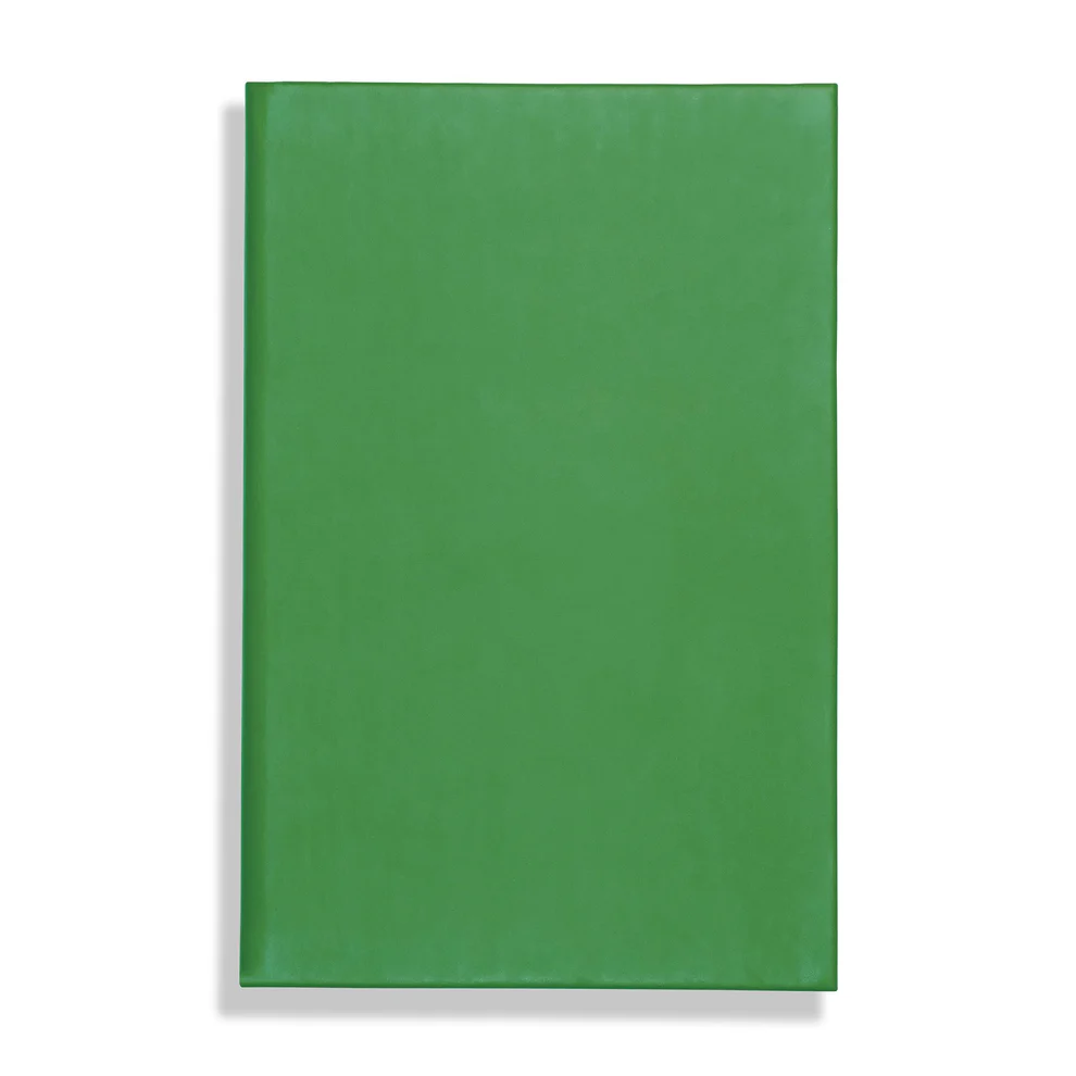 Apple Peel Eco, vegan / peel A5 Notebook, Feint Ruled, Green